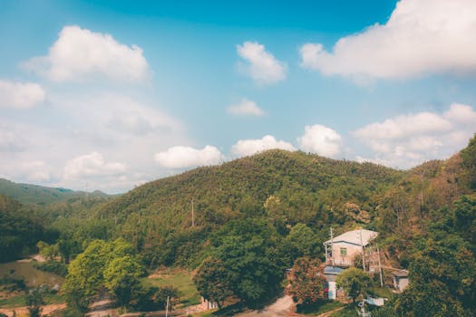 【好评中国】实体经济“根深叶茂”,中国经济“行稳致远” 新闻