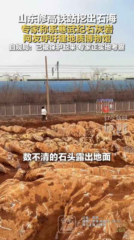  山东修高铁站挖出约5亿年前石海，专家称系寒武纪石灰岩，当地：已保护起来，正实地考察 新闻