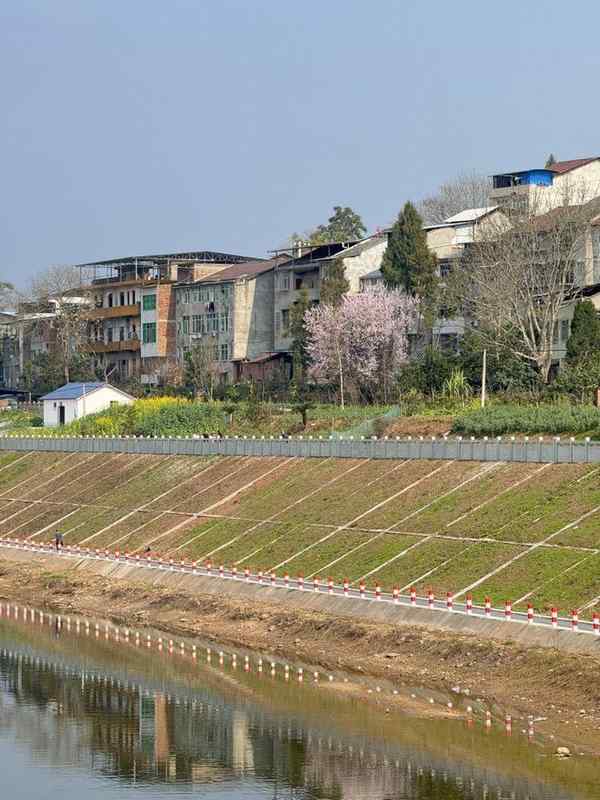 大家族里过年,一位年轻人的“两宗罪”|记者过年 新闻