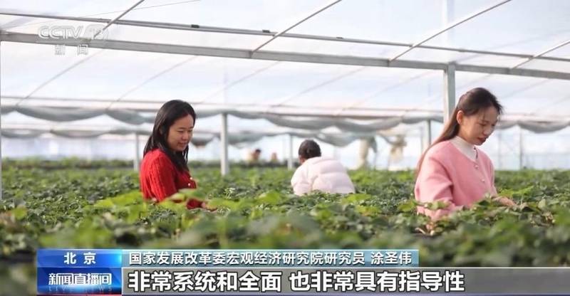  主动应变稳中求进；十五五纲要描绘三农现代化蓝图，高质量发展路径清晰。 新闻 主动应变稳中求进；十五五纲要描绘三农现代化蓝图，高质量发展路径清晰。 新闻 主动应变稳中求进；十五五纲要描绘三农现代化蓝图，高质量发展路径清晰。 新闻