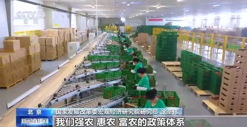  主动应变稳中求进；十五五纲要描绘三农现代化蓝图，高质量发展路径清晰。 新闻 主动应变稳中求进；十五五纲要描绘三农现代化蓝图，高质量发展路径清晰。 新闻 主动应变稳中求进；十五五纲要描绘三农现代化蓝图，高质量发展路径清晰。 新闻