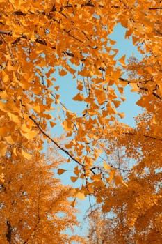  多重因素交织下，黄金板块迎来新机遇；技术创新驱动行业变革。 股票财经