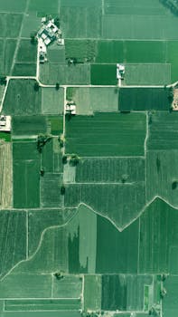 绿色转型新机遇：民营企业如何把握低碳发展的红利期 新闻