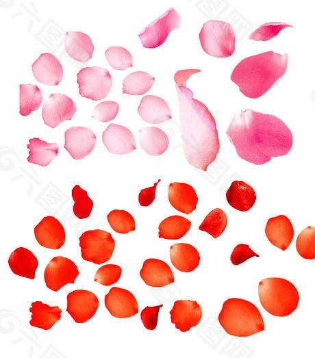  千亿市场的入场券：从宇树科技看具身智能的资本博弈法则 股票财经