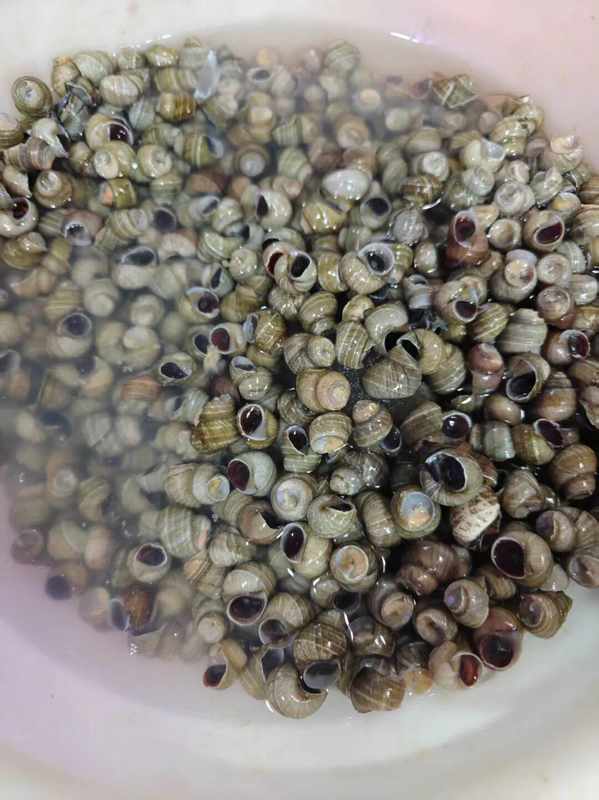  揭秘河鲜市场：高价河虾背后的供需真相与替代选择 新闻 揭秘河鲜市场：高价河虾背后的供需真相与替代选择 新闻