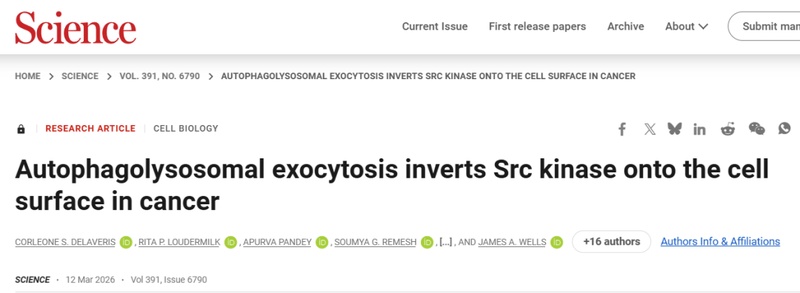 【技术突破】从细胞内到细胞表面：Src激酶定位重写50年教科书