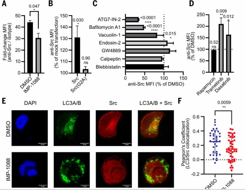  【技术突破】从细胞内到细胞表面：Src激酶定位重写50年教科书 新闻