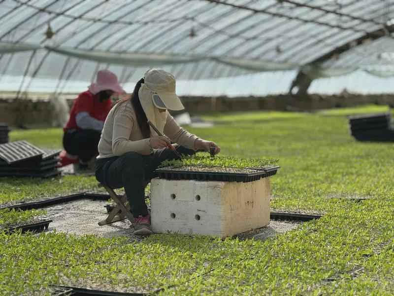 从播种到回收：榆林春耕的技术破局与农机协同作战体系 新闻