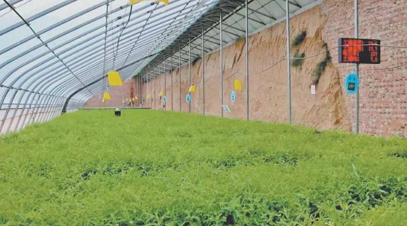  从播种到回收：榆林春耕的技术破局与农机协同作战体系 新闻