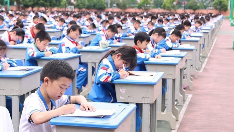  从口算到逻辑推理：一场覆盖2398人的全学段理科能力大赛深度复盘 教育招生