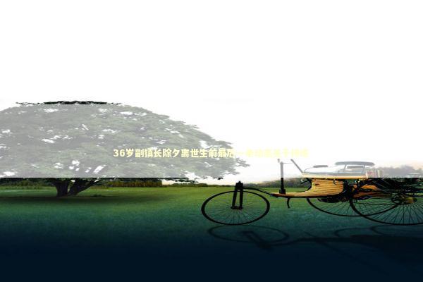 36岁副镇长除夕离世生前最后一条动态关于排练 新闻