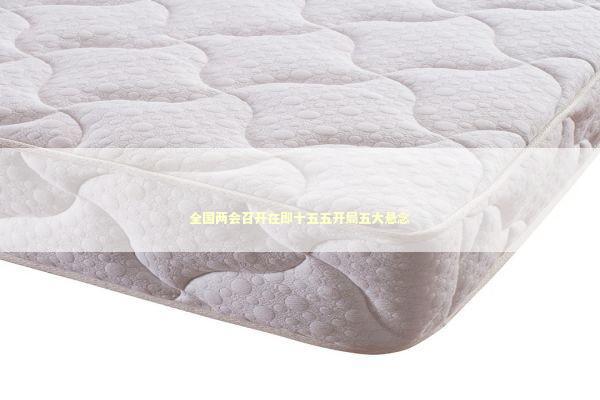 全国两会召开在即十五五开局五大悬念 新闻