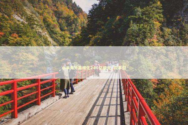 小米海外高端化240亿欧元_叙事型 新闻