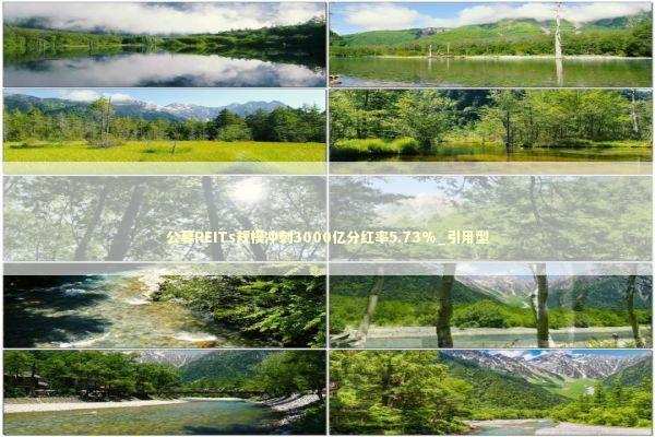 公募REITs规模冲刺3000亿分红率5.73%_引用型