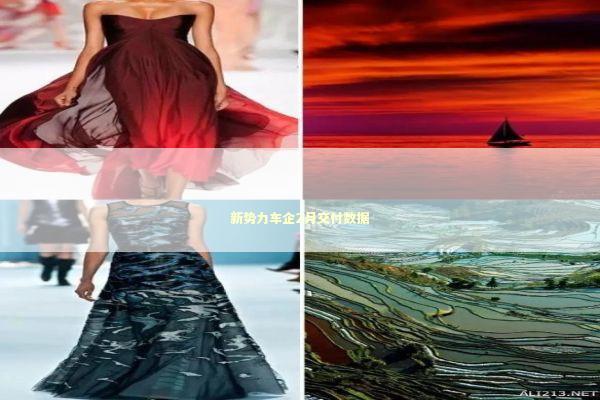 新势力车企2月交付数据 新闻