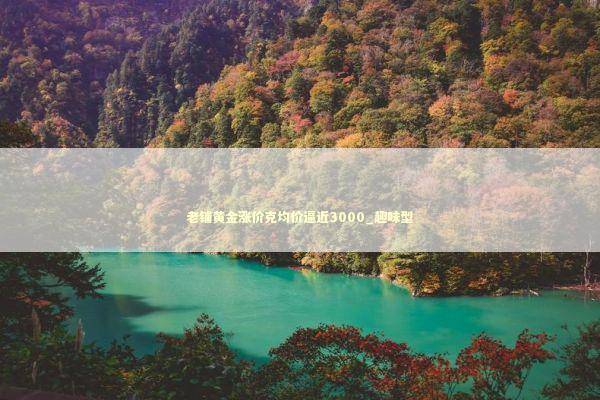 老铺黄金涨价克均价逼近3000_趣味型