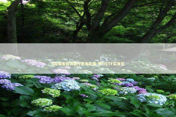 A股深度回调银行逆市走强-银行ETF实用型 新闻