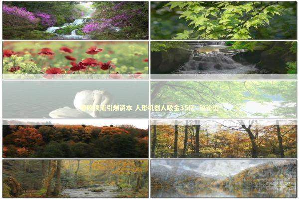 春晚顶流引爆资本 人形机器人吸金35亿_议论型 新闻