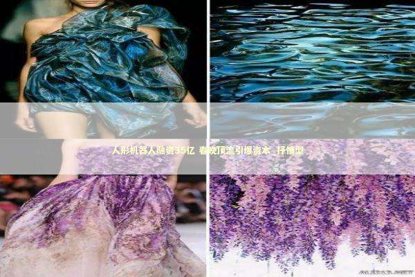 人形机器人融资35亿 春晚顶流引爆资本_抒情型 新闻