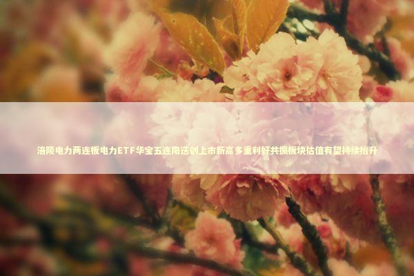 涪陵电力两连板电力ETF华宝五连阳迭创上市新高多重利好共振板块估值有望持续抬升 新闻