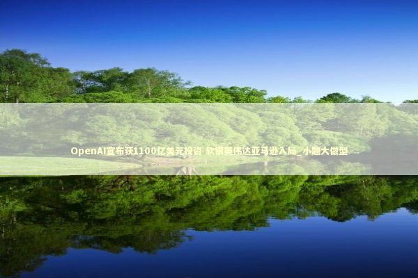 OpenAI宣布获1100亿美元投资 软银英伟达亚马逊入局_小题大做型 新闻
