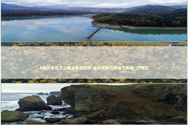 A股历史首次三桶油集体涨停 油价狂飙引爆油气板块_抒情型 新闻