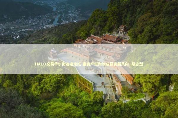HALO交易华尔街迅速走红 重资产低淘汰成投资新风向_悬念型 新闻