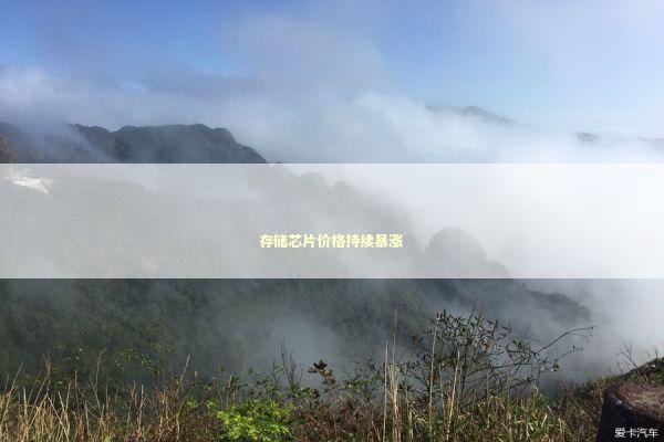 存储芯片价格持续暴涨 新闻