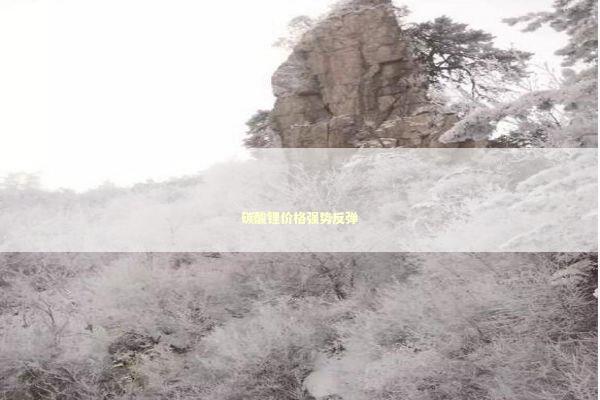 碳酸锂价格强势反弹 碳酸锂价格强势反弹 新闻