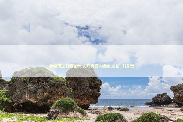 春晚顶流引爆资本 人形机器人吸金35亿_引用型 新闻