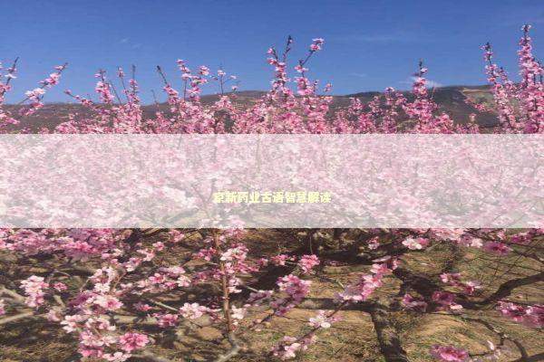 京新药业古语智慧解读 新闻