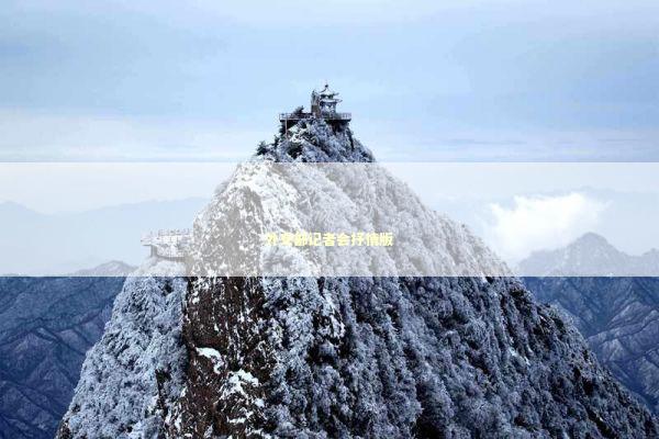 外交部记者会抒情版