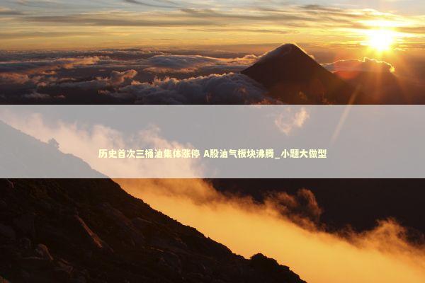 历史首次三桶油集体涨停 A股油气板块沸腾_小题大做型 新闻