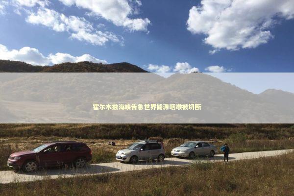 霍尔木兹海峡告急世界能源咽喉被切断 新闻