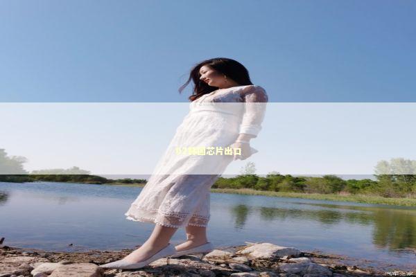 02韩国芯片出口 新闻