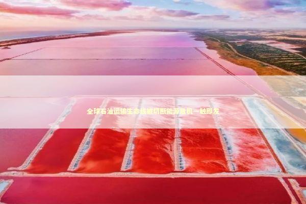 全球石油运输生命线被切断能源危机一触即发 新闻