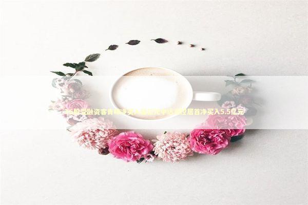 36股受融资客青睐净买入超亿元中远海控居首净买入5.5亿元 新闻