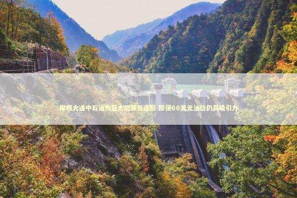 摩根大通中石油为亚太能源首选股 即便60美元油价仍具吸引力 新闻