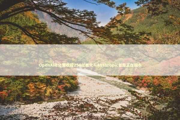 OpenAI年化营收超250亿美元与Anthropic差距正在缩小 新闻