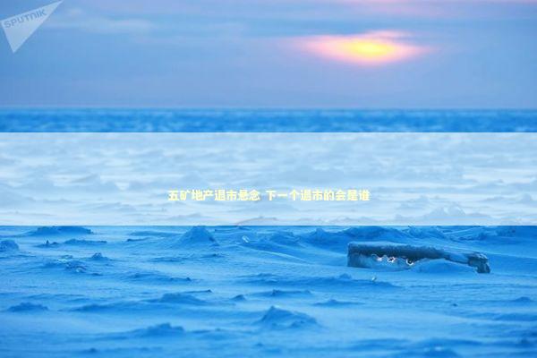 五矿地产退市悬念 下一个退市的会是谁 新闻