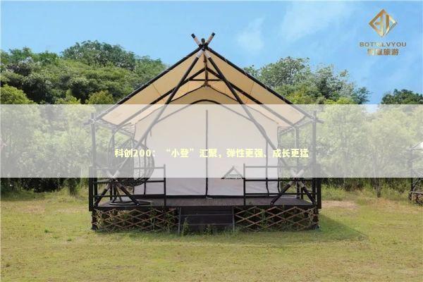 科创200：“小登”汇聚，弹性更强、成长更猛 新闻