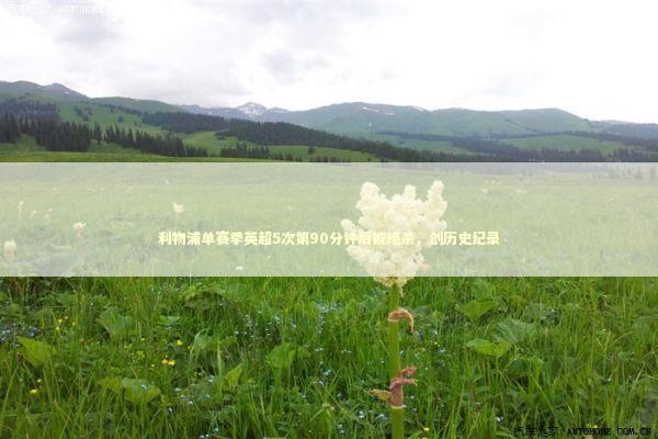 利物浦单赛季英超5次第90分钟后被绝杀，创历史纪录 新闻