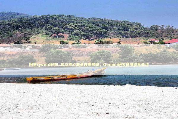 阿里Qwen换帅！多位核心成员自曝离职，Gemini研究员加盟惹分歧 新闻