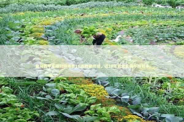 皇马西甲主场对赫塔费16连胜被终结，近18年首次主场不敌对手 新闻