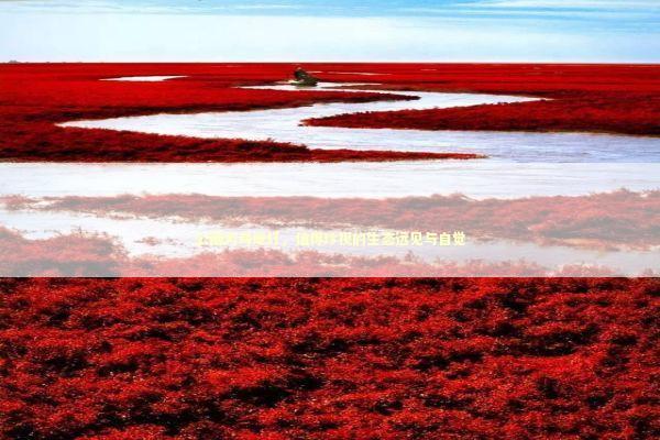 公园为鸟熄灯，值得珍视的生态远见与自觉 新闻