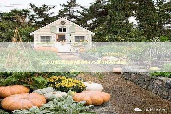 1031家公司业绩快报亮相49%营收利润双双增长 新闻