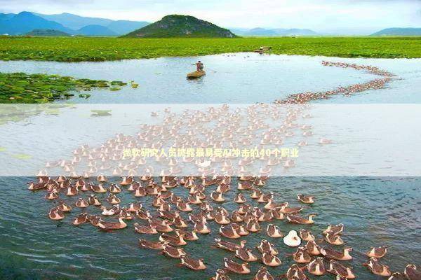 微软研究人员披露最易受AI冲击的40个职业 新闻