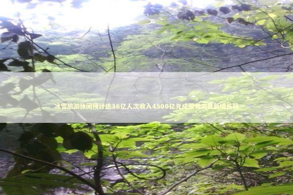 冰雪旅游休闲预计达36亿人次收入4500亿元成服务消费新增长极 新闻