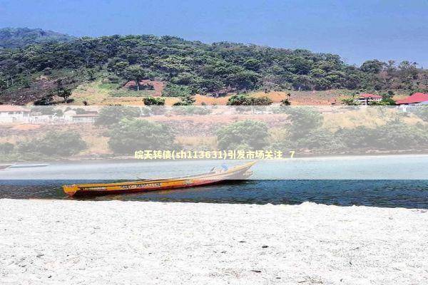 皖天转债(sh113631)引发市场关注_7 新闻