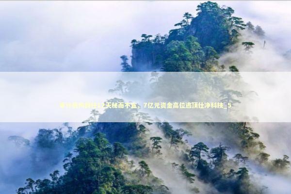 审计机构辞任12天秘而不宣，7亿元资金高位逃顶仕净科技_5 新闻